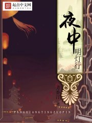 夜中明灯行封面