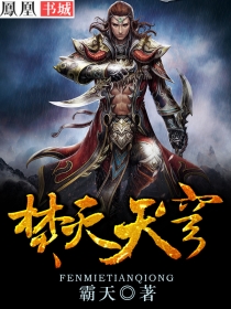 焚灭天穹封面