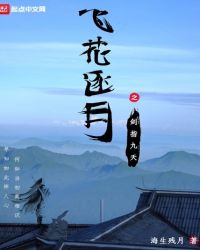 飞花逐月之剑指九天封面