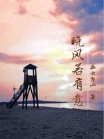 晚风若有意封面
