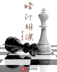 暗计明谋封面