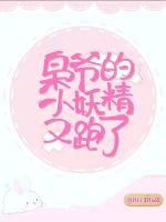 枭爷的小妖精又跑了封面