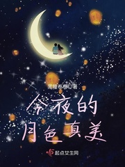 今夜的月色真美封面