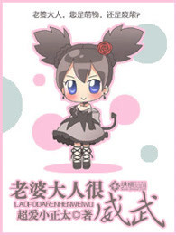 老婆大人很威武封面