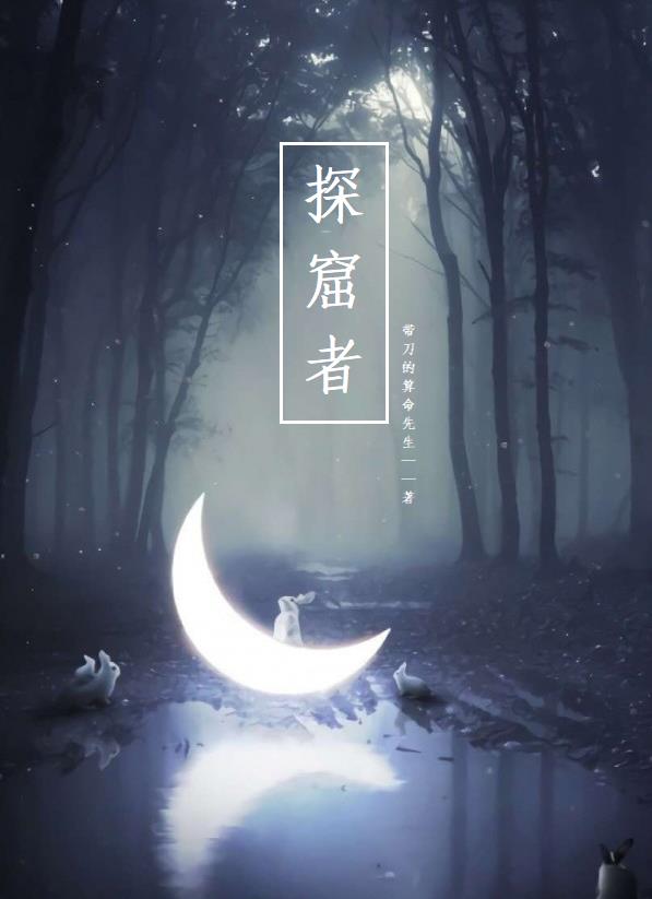 探窟者封面