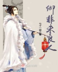 卿非未良人封面