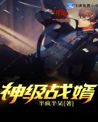 神级战婿封面
