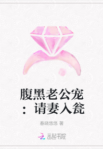 腹黑老公宠：请妻入瓮封面