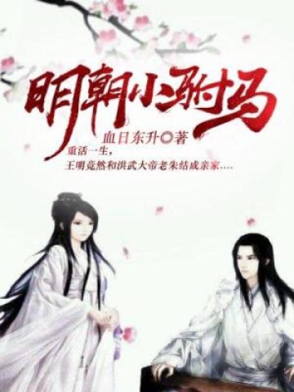 明朝小驸马封面