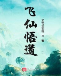 飞仙悟道封面