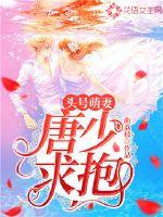 头号萌妻：唐少，求抱！封面