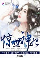 惊世神妃封面