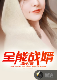 全能战婿封面