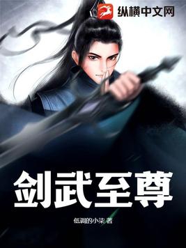 剑武至尊封面