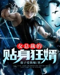 女总裁的贴身狂婿封面