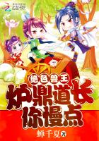 绝色兽王:炉鼎道长你慢点封面