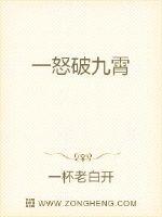 一怒破九霄封面