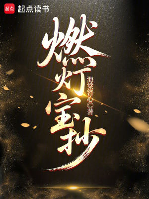 燃灯宝抄封面
