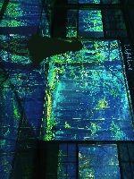 诸天世界的自然者封面