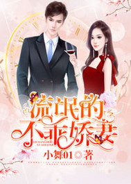 不乖娇妻封面