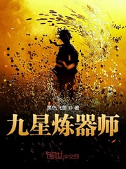 九星炼器师封面