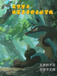 宝可梦与波导勇者的奇妙冒险封面