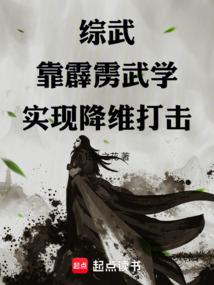 综武：靠霹雳武学实现降维打击封面