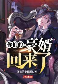 你们的豪婿回来了封面