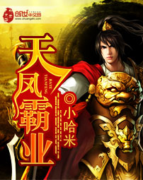 天凤霸业封面