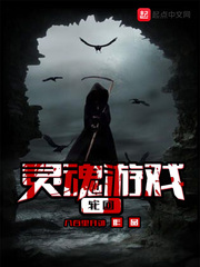 灵魂游戏——轮回封面