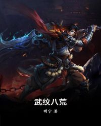武纹八荒封面