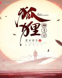 狐狸种土豆封面