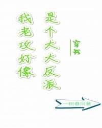 我老攻好像是个大反派穿书封面