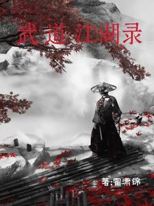 武道江湖录封面
