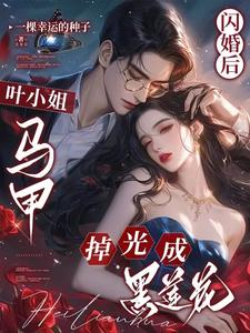 闪婚后，叶小姐马甲掉光成黑莲花封面