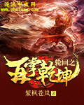 轮回之再掌乾坤封面