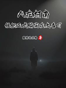 人在柯南，组织正式编实在太香了封面