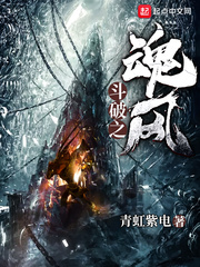 斗破之魂风封面