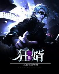 一世狂婿封面