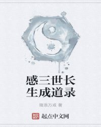 感三世长生成道录封面