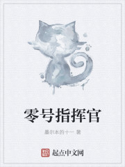 零号指挥官封面