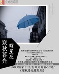 寒秋暮光耀星辰封面