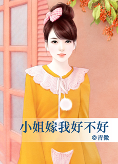 小姐嫁我好不好封面