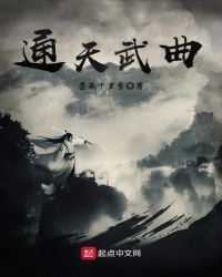 通天武曲封面