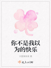 你不是我以为的快乐封面
