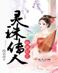 仙游记之灵珠传人封面