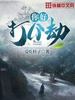 你好，打个劫封面