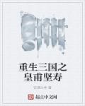 重生三国之皇甫坚寿封面