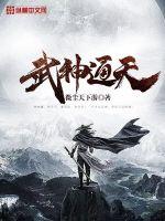 武神通天封面