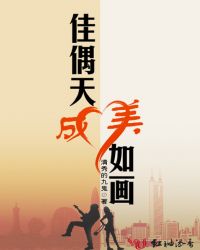 佳偶天成美如画封面